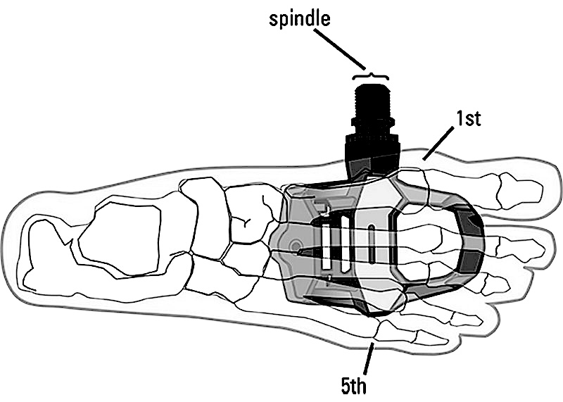 Thumbnail for Foot-Pedal Interface Optimization: Maximizing Power Transfer and Preventing Injury