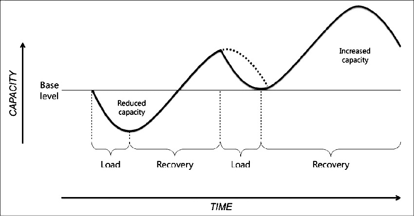 Thumbnail for Targeted Training Adaptations: Enhancing Cycling Performance Through Personalized Exercise